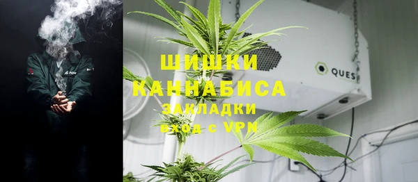 ГАЛЛЮЦИНОГЕННЫЕ ГРИБЫ Богородицк