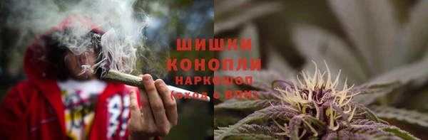 ПСИЛОЦИБИНОВЫЕ ГРИБЫ Яранск
