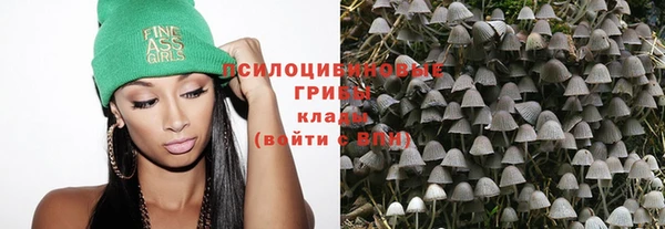 ГАЛЛЮЦИНОГЕННЫЕ ГРИБЫ Богородицк